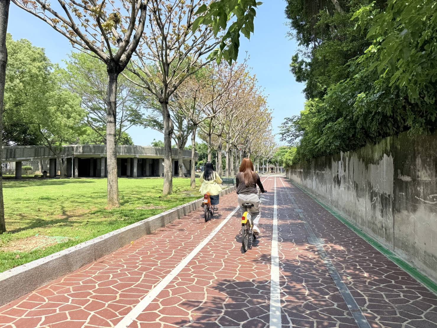 桃園民間「減碳達人」現身 環保局推「淨零日記」 月減碳6,915公斤等同種305棵樹 (2).jpg